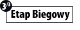 Bieganie w triathlonie